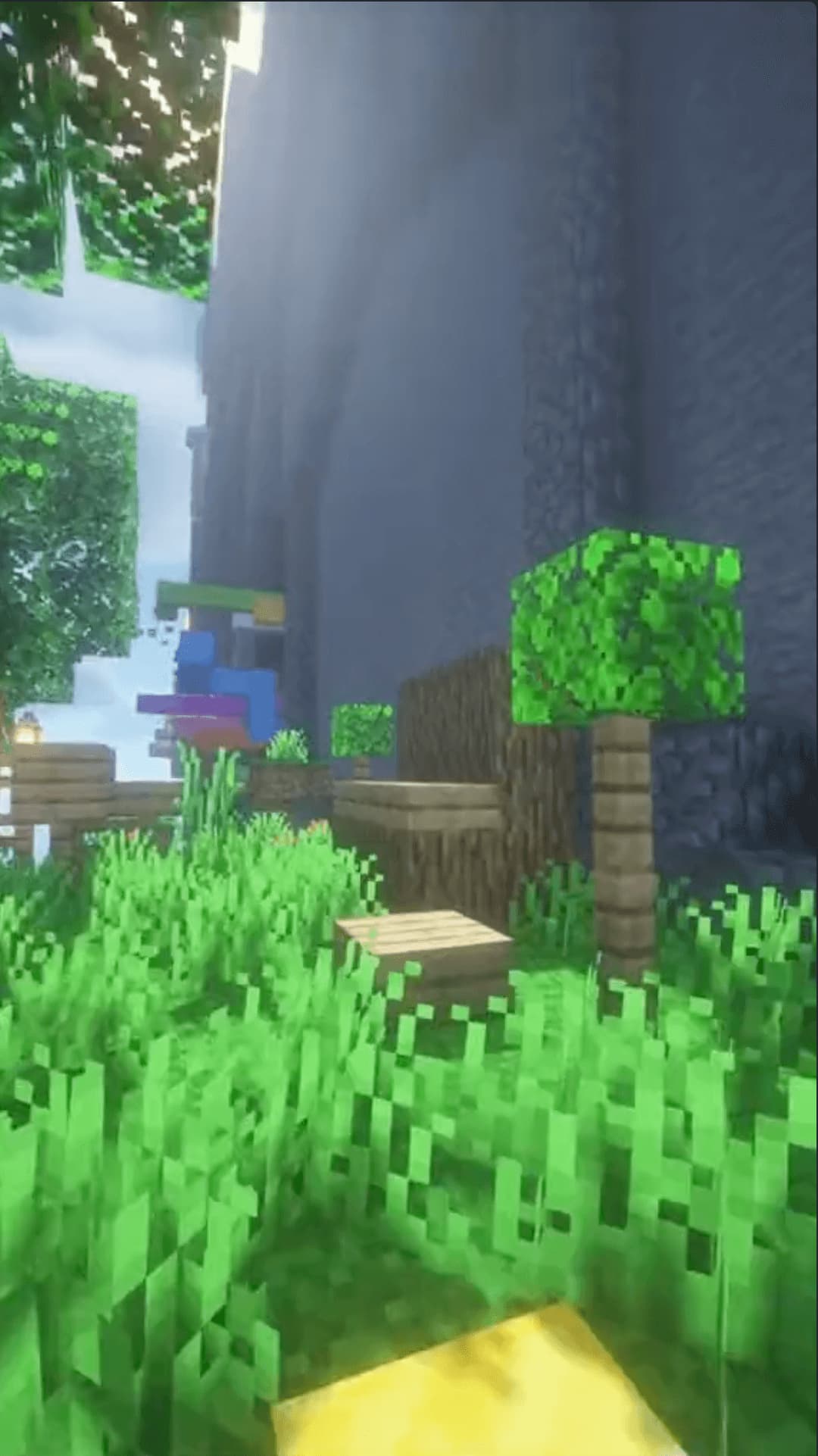 Minecraft Forest